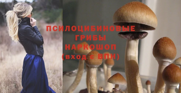 ALPHA PVP Алзамай