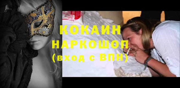 кокс Алексин