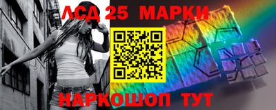 шишки Нарткала