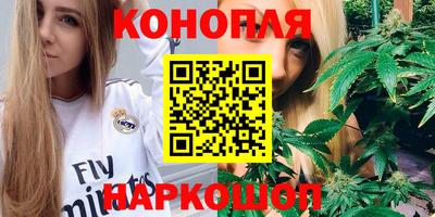 шишки Нарткала