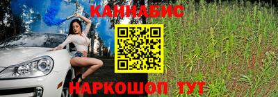 гидропоника Новодвинск