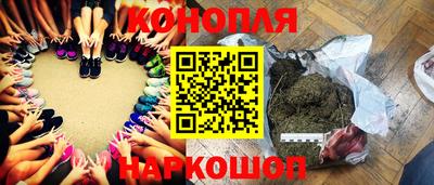 шишки Нарткала