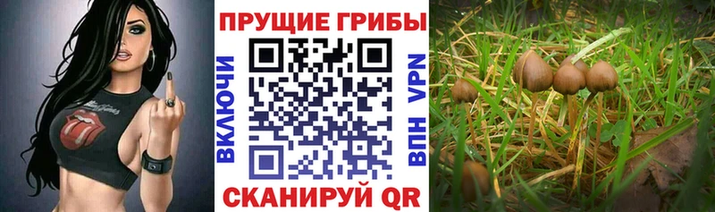 Галлюциногенные грибы мицелий  Чебаркуль 