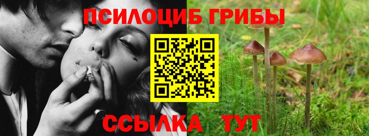 Чебаркуль  Псилоцибиновые грибы Psilocybe  Вход с VPN 